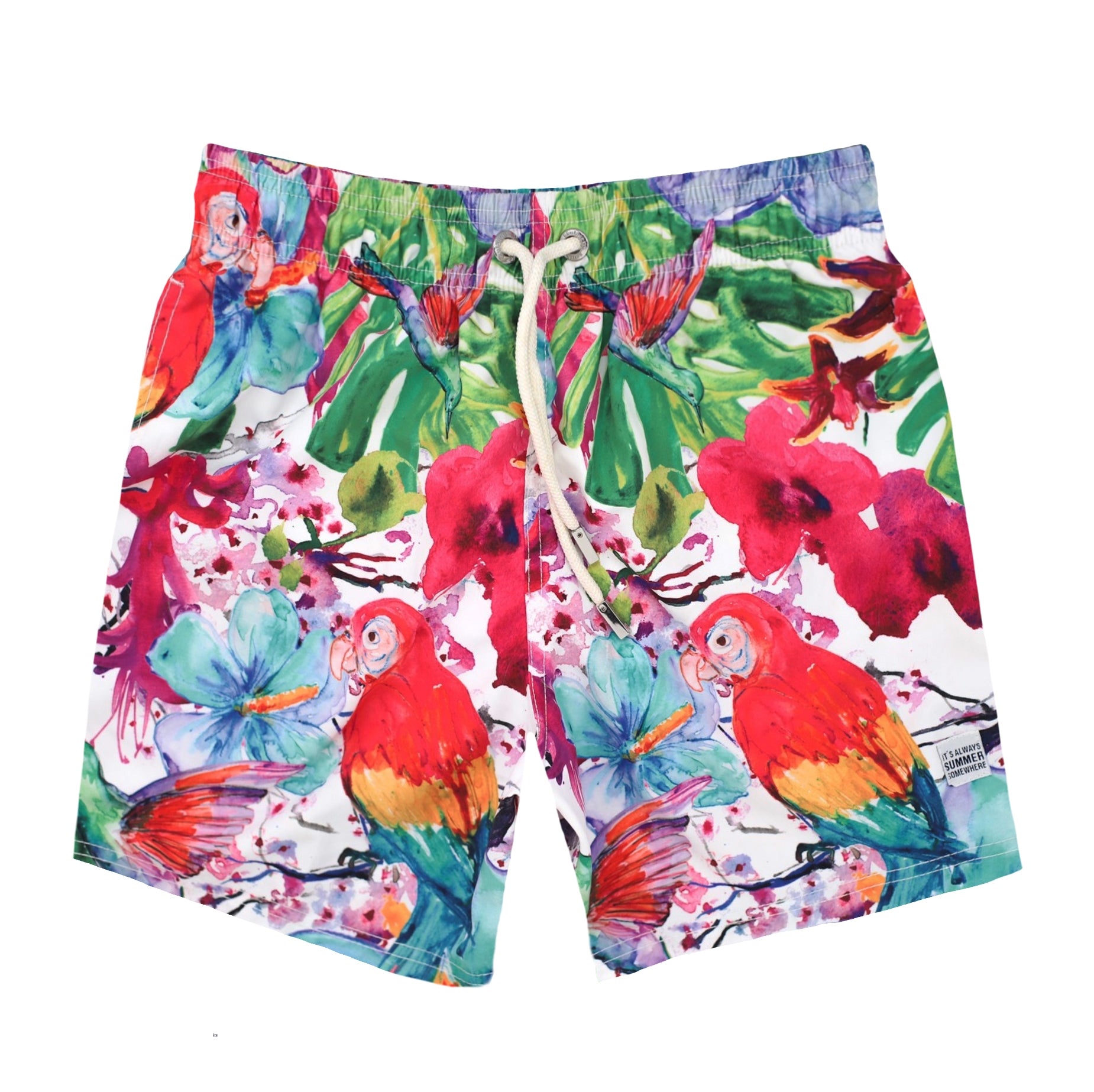Macaw