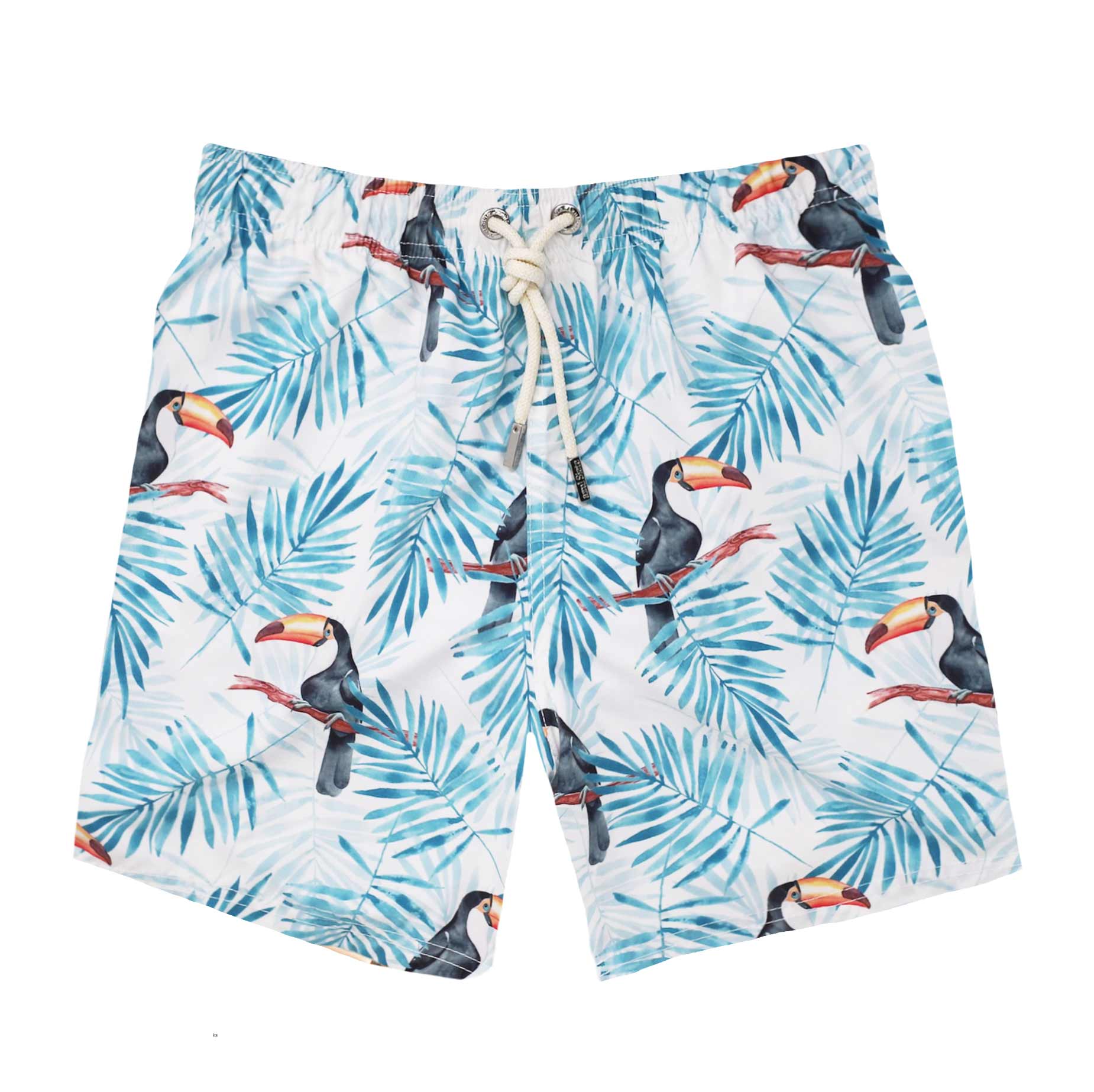 Toucan
