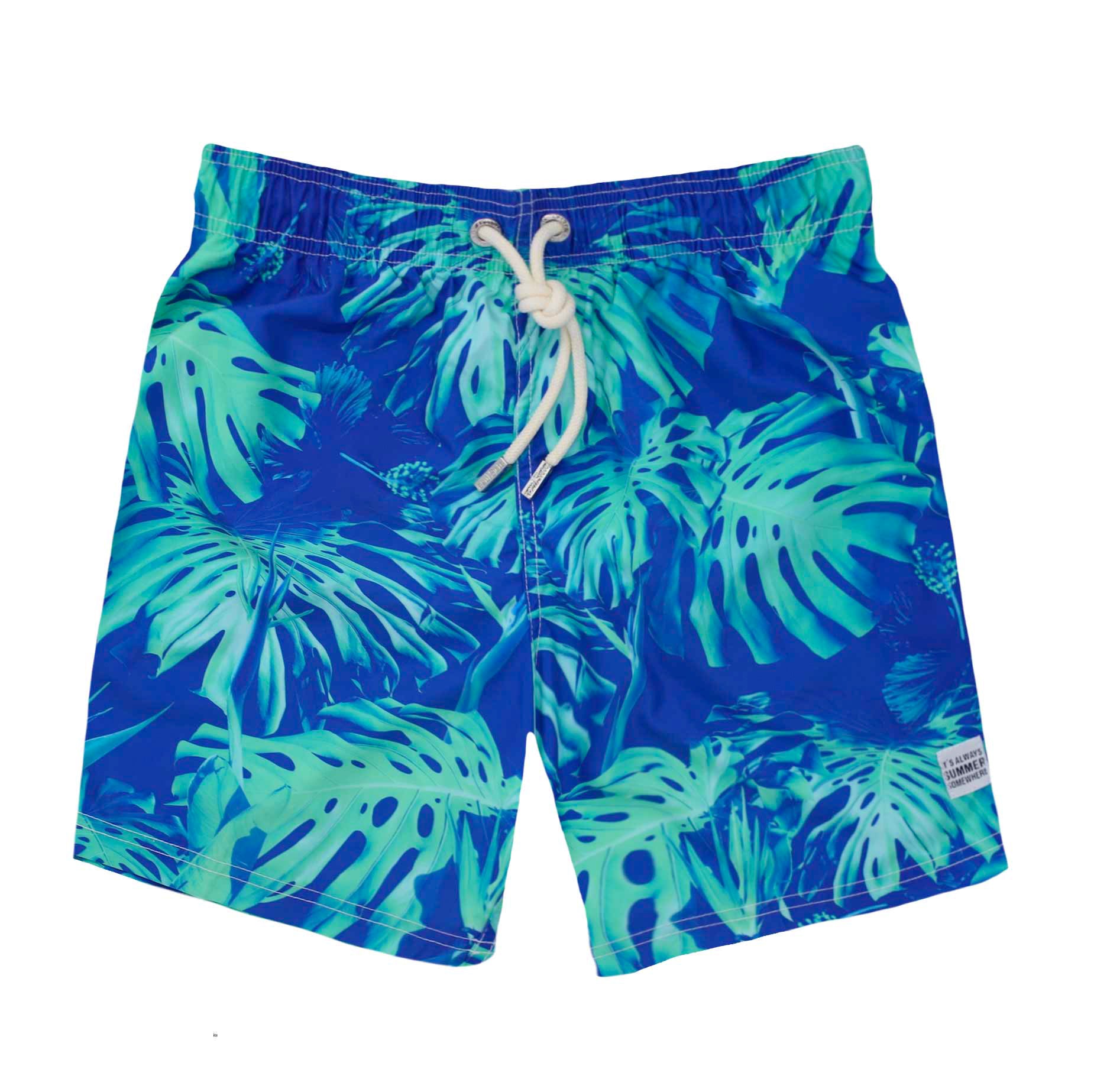 Tropical Leaves