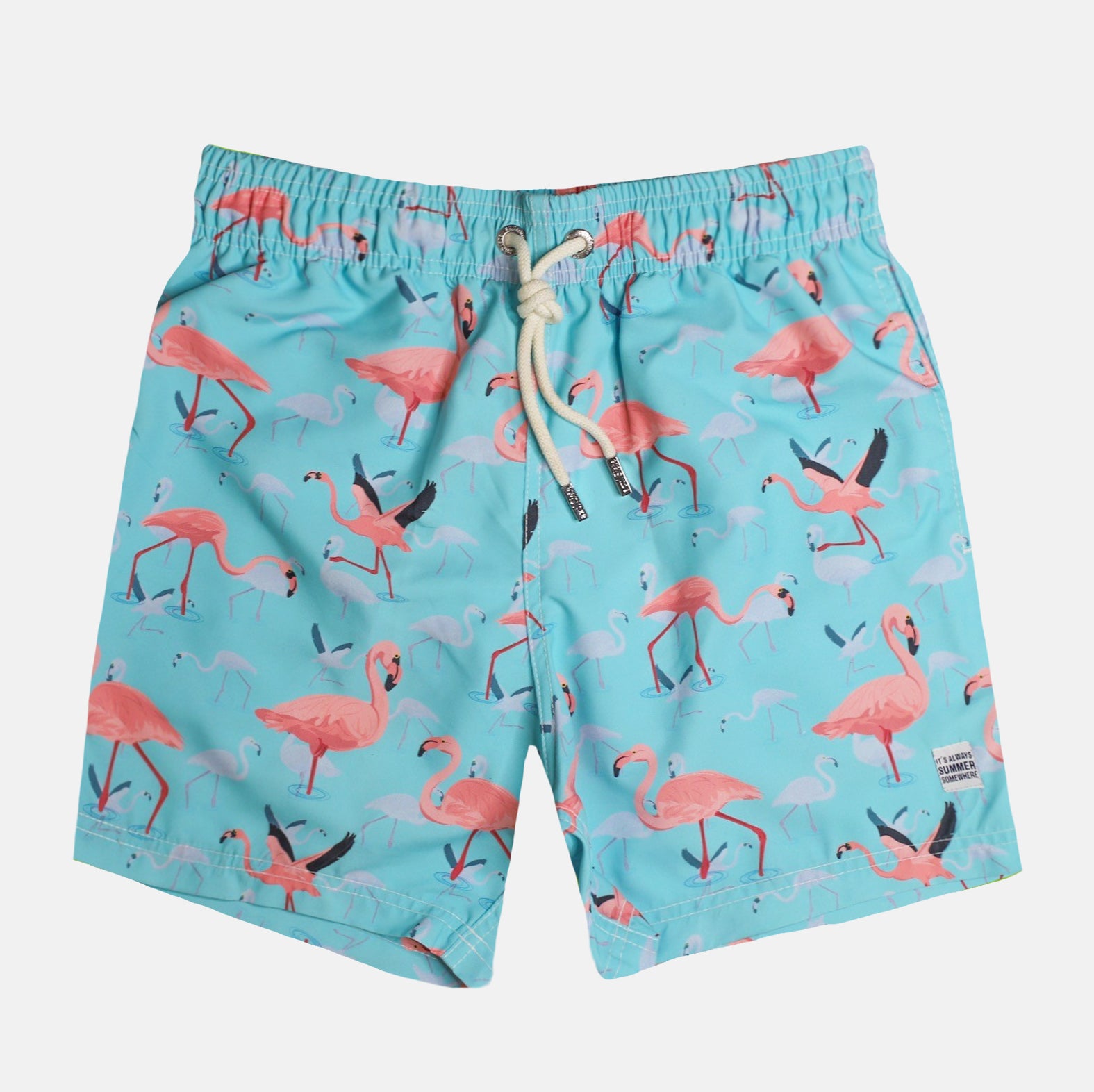 Flamingos Again