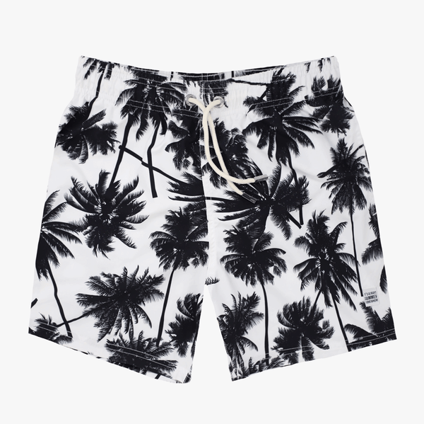 Black Palms