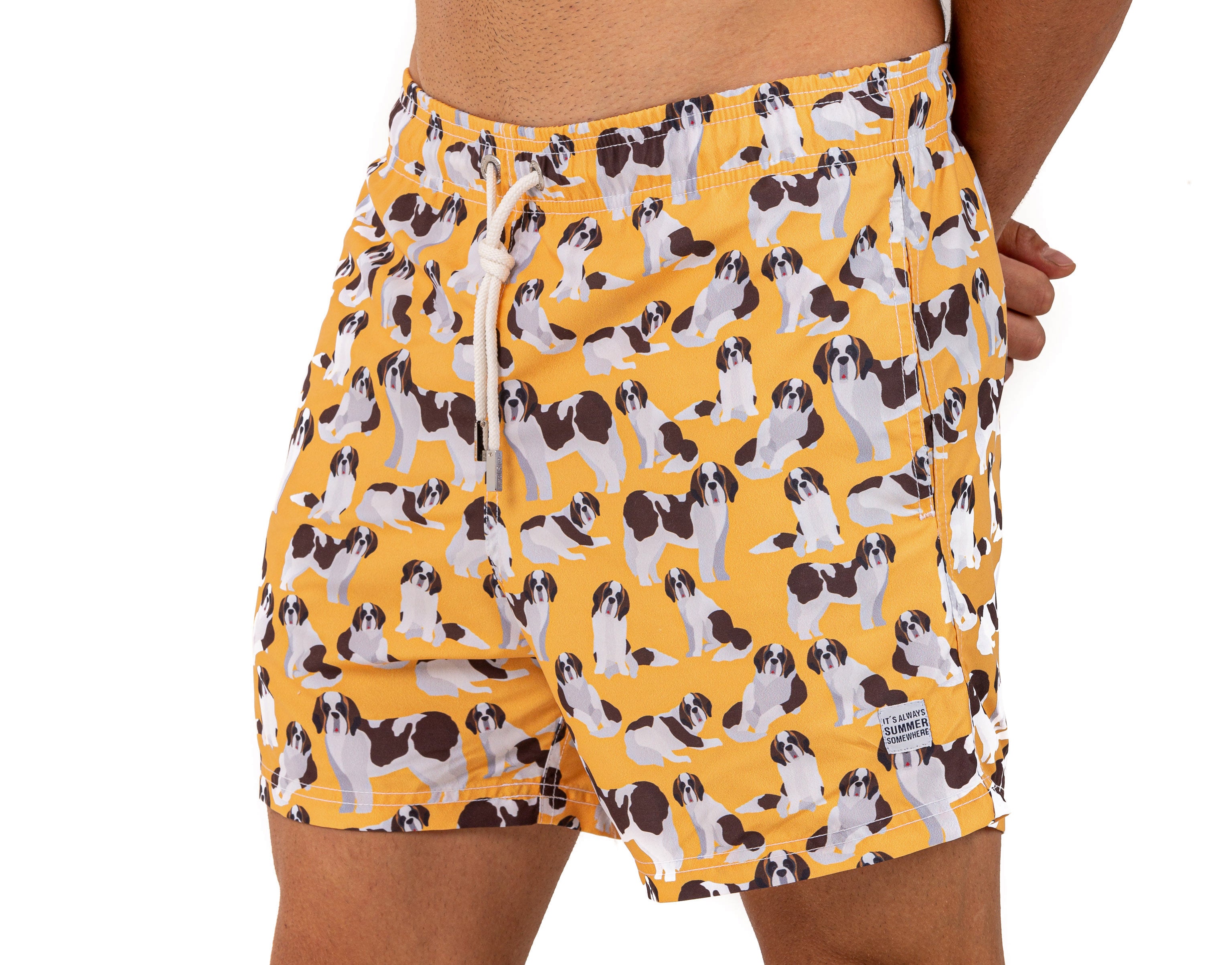 Doggies - Azul Siete Swim Shorts