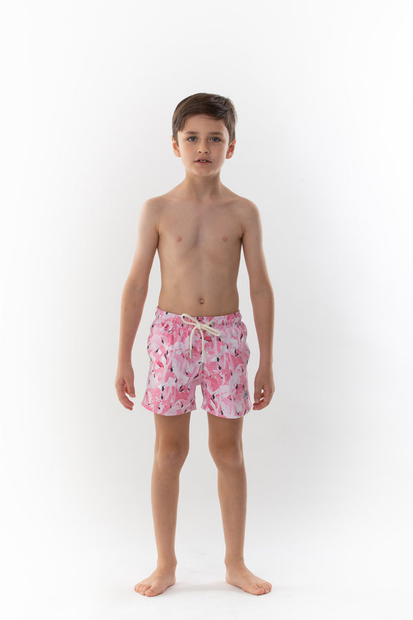 Boys Swim Trunks Flamily